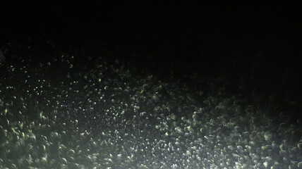 Silver Glitter Bokeh - Sleek and Elegant Shimmering Effects for Sophisticated Design Projects, Ideal for Creating Stylish and Luxurious Visuals