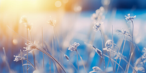 Beautiful gentle winter landscape, frozen grass on snowy natural background. Winter background with flowers covered snow crystals glittering in sunlight. Defocused winter landscape. - obrazy, fototapety, plakaty