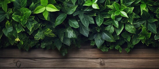 Eco concept with wood texture recycle icon on green wall leaving space for content or design Copy space image Place for adding text or design