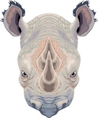 Rhinoceros head, vector isolated animal
