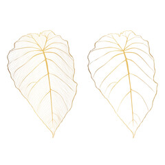 Luxury gold tropical line philodendron leaves set. Golden line art texture from palm leaves, Jungle leaves. - obrazy, fototapety, plakaty