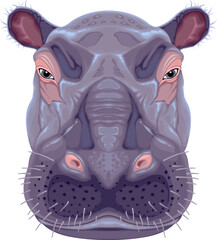 Hippopotamus head, vector isolated animal

