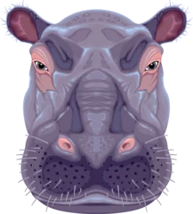 Poster Im Rahmen Hippopotamus head, vector isolated animal  © ddraw