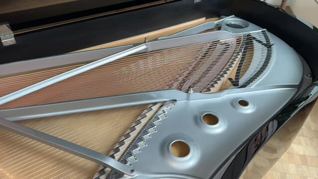 Interior of a concert grand piano - strings and soundboard