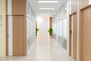 Empty modern office bright corridor with glass wall. Long white modern office hallway. No businesspeople. Many glass wall and doors. White bright empty workplace corridor background. Ornamented. - obrazy, fototapety, plakaty