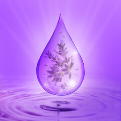 Beautiful lavender flowers in essential oil drop on violet background