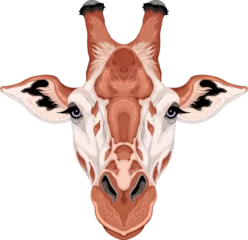  Giraffe head, vector isolated animal. © ddraw