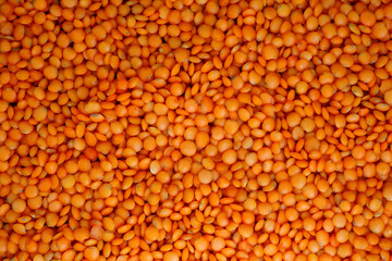 Red lentils as Background or Texture for Design