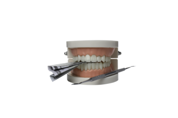 PNG, Decorative jaw with cash and dental instrument, isolated on white background