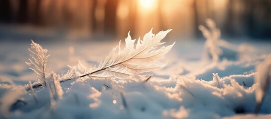 Winter outdoor landscape, frozen plants in nature, ground covered with snow and ice in morning sunlight - seasonal background for Christmas wishes and greeting cards - obrazy, fototapety, plakaty
