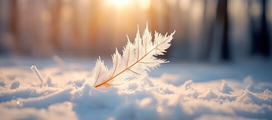 Winter outdoor landscape, frozen plants in nature, ground covered with snow and ice in morning sunlight - seasonal background for Christmas wishes and greeting cards - obrazy, fototapety, plakaty