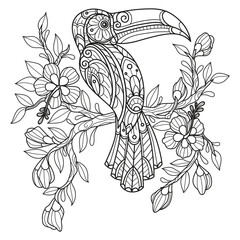 Hornbill on branch hand drawn for adult coloring book