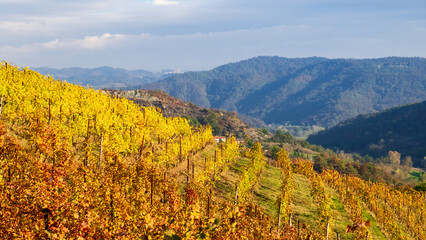 Beautiful vineyard hill in Monferrato, Piedmont, Italy