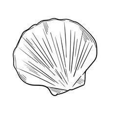 Hand Drawn Sea Creature Doodle Set