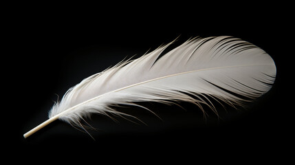 White feather