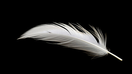 White feather