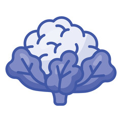 Fresh cauliflower with green leaves, healthy and organic food