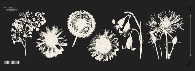 Trendy elements with a retro photocopy effect. y2k elements for design. Flowers, chamomile, sunflower, dandelion. Grain effect and stippling. Vector dots texture. - obrazy, fototapety, plakaty