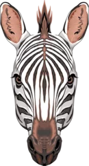Poster Im Rahmen Zebra head, vector isolated animal. © ddraw