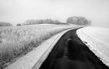 country road in the snow - obrazy, fototapety, plakaty