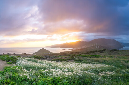 Sunset on Ponta de Sao Lourenco peninsula with beautiful flowers in foreground. Madeira Island Portugal.