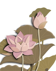 pink lotus flower