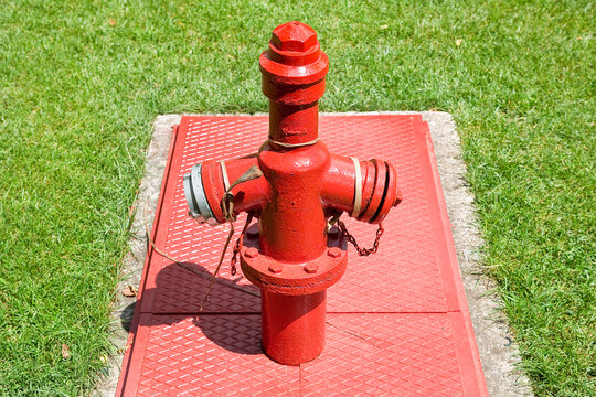 Metal fire hydrant colred in red with fresh green meadow in a pu