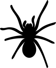 black spider