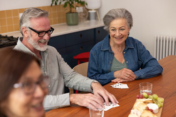 Seniors socialising with friends at home