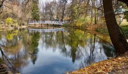 Humpbacked bridge. Upper pond of the estate. Museum-Reserve A.S. Pushkin "Boldino". Nizhny Novgorod Region.