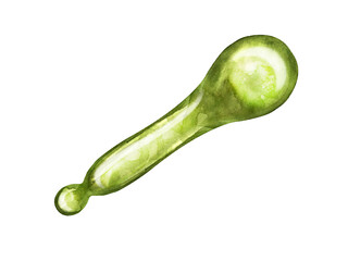 Gua Sha jade scraper massage tool. Natural stone scraper and green stone roller in different shapes. Beauty skin care tool, watercolor illustration for web, blog, social media.