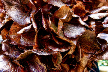 a structure for decoration purposes with various ingredients suitable for, for example, Christmas or other celebrations