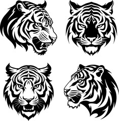 Set of tiger head isolated on transparent background. Mammals. Wildlife Animals.