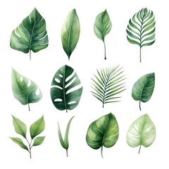 Fototapeta premium Set of watercolor tropical green leaves on white background. Generative AI