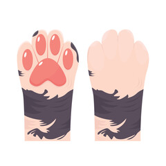 paw illustration