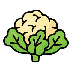 Fresh cauliflower with green leaves, healthy and organic food
