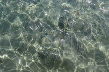 Obraz premium Recreation and tourism in summer by the sea.