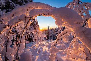 Colorful sunset panorama in Winterberg Sauerland Germany. View though snow covered, frosted...