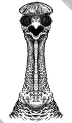 Vintage engraving isolated turkey glasses dressed fashion set illustration ink sketch. Farm fowl background bird silhouette sunglasses hipster hat art. Black and white hand drawn vector image