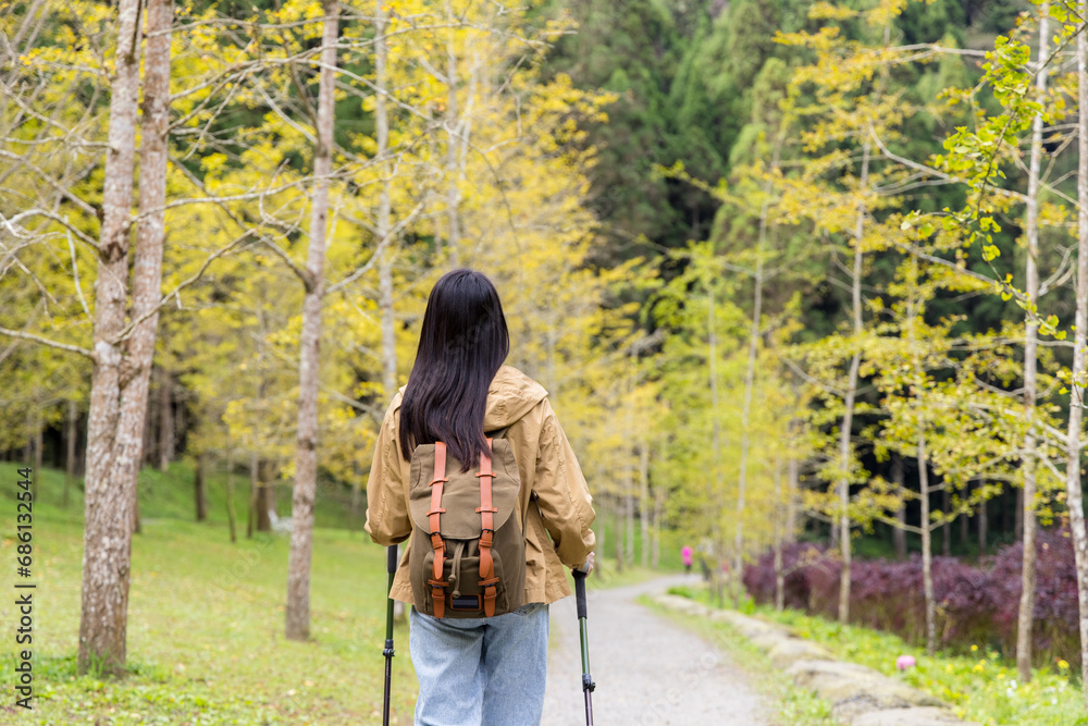 Wall mural woman hold with trekking pole and walk along the hiking trail