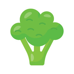 Broccoli vector design, isolated on white background, iron rich vegetable