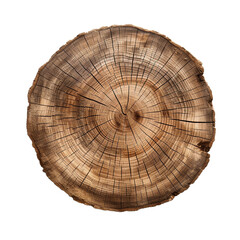 A cut out of a tree stump top view isolated on transparent background