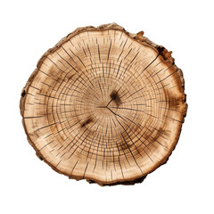 A cut out of a tree stump top view isolated on transparent background