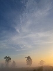 sunset in the fog