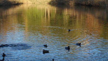 SCENIC SCENERY, magical view, beauty, bliss, love and romance