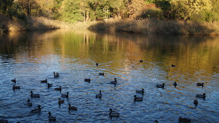 SCENIC SCENERY, magical view, beauty, bliss, love and romance