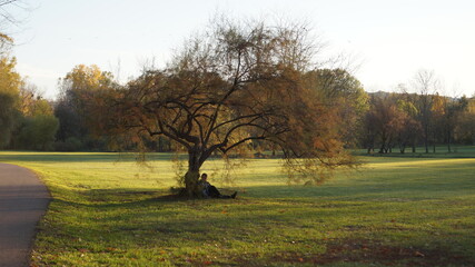 SCENIC SCENERY, magical view, beauty, bliss, love and romance