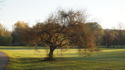 SCENIC SCENERY, magical view, beauty, bliss, love and romance