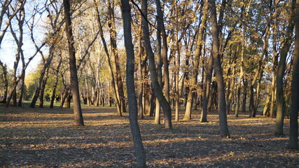 SCENIC SCENERY, magical view, beauty, bliss, love and romance