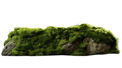 Green Moss Meadow on a rock. Side view. Isolated on Transparent background.	 - obrazy, fototapety, plakaty